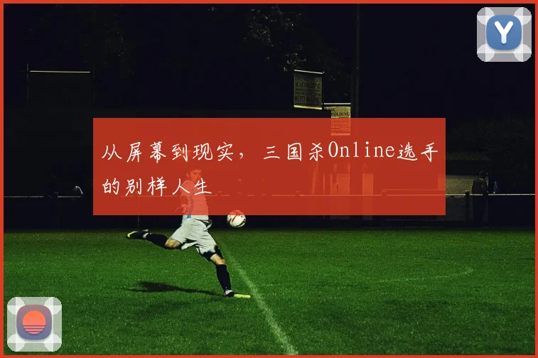 从屏幕到现实，三国杀Online选手的别样人生
