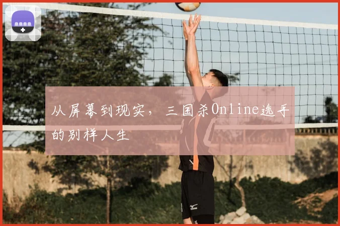 从屏幕到现实,三国杀Online选手的别样人生